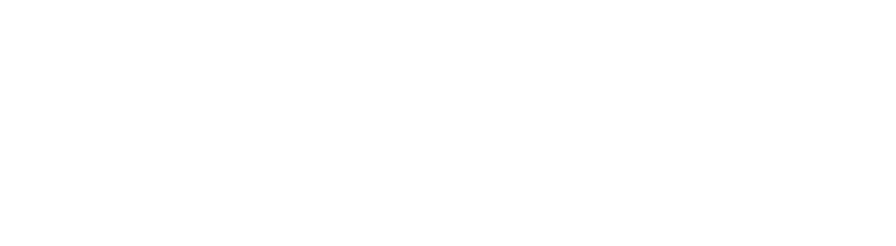 RealtyCo Mexico